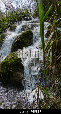 Una piccola cascata, bianco acqua schiumosa correndo sulle rocce nel Parco Nazionale dei Laghi di Plitvice, Croazia Foto Stock