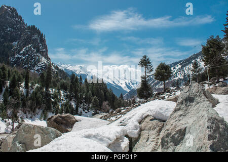 Bellissimo paesaggio visual da sonamarg valley, Kashmir con ghiaccio coperto le rocce in primo piano e le dense nubi e alberi di pino in distanza. Foto Stock