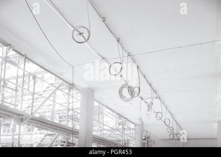 B&W realizzazione sito con appesi dei cavi di alimentazione Foto Stock