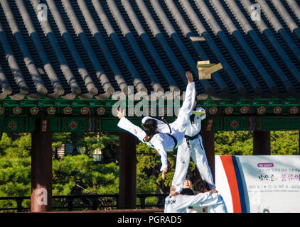 Seoul, Corea del Sud, 14 Ottobre 2012: Taekwondo esposizioni pubbliche in Foto Stock