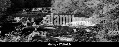 Estate, Upper Falls di Aysgarth Falls, Fiume Ure, Wensleydale, Yorkshire Dales National Park, North Yorkshire, Inghilterra Foto Stock