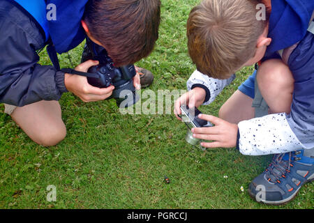 Due giovani ragazzi di fotografare un Sexton beetle Foto Stock