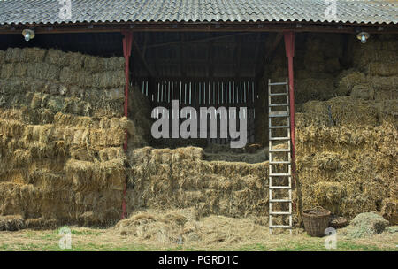 Vista su un fienile pieno di paglia secca Foto Stock