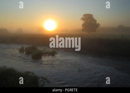 Foschia mattutina sul fiume Ax in East Devon Foto Stock