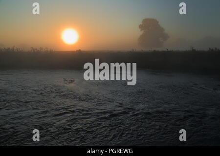 Foschia mattutina sul fiume Ax in East Devon Foto Stock