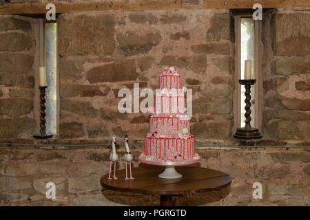 Novità rosa tiered torta nuziale Foto Stock