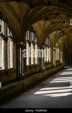 Lacock Abbey arcate Foto Stock