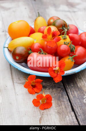 Solanum lycopersicum. Appena raccolto varietà di homegrown cimelio di pomodori con fiori commestibili, nasturtium e rosmarino nel piatto di smalto Foto Stock