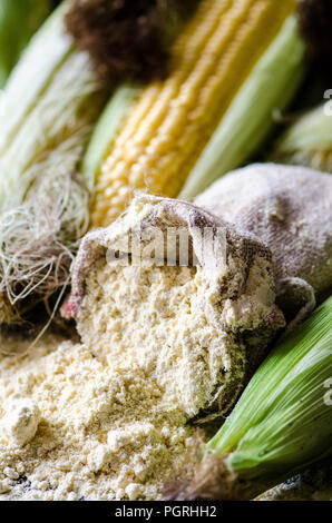 La farina di mais in canapa una sacca con le pannocchie di granoturco Foto Stock