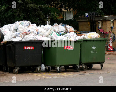 Raccolto il riciclaggio sacchetti pronti per la raccolta in Hyde Park, Londra Foto Stock