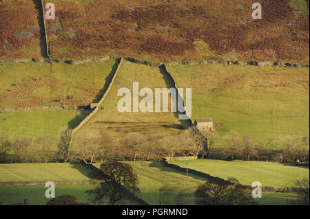 Muri di pietra a secco e un vecchio fienile, Swaledale, Yorkshire Dales National Park, Inghilterra Foto Stock