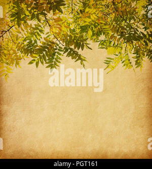 Di età compresa trama della carta con il ramo di foglie di autunno. Struttura Pagoda Foto Stock
