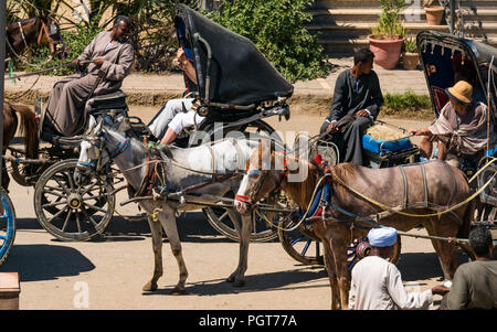 I turisti in carrozze pilotati da locale egiziano gli uomini per il trasporto di persone dal fiume Nilo le grandi navi da crociera, Edfu, Egitto, Africa Foto Stock