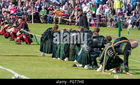 Raccolta Lonach, Scozia - Agosto 25, 2018: Tug of War evento al Lonach raduno in Scozia. Foto Stock