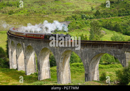Heritage Giacobita alimentate a carbone treno a vapore di Hogwarts Express utilizzato in Harry Potter film al viadotto Glenfinnan nelle Highlands scozzesi Scotland Regno Unito Foto Stock