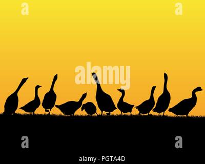 Campagna tramonto sfondo con d'anatra e oca sagome Illustrazione Vettoriale