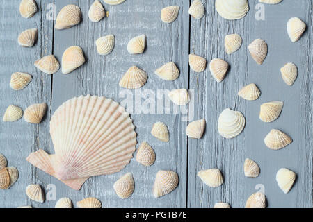 Un sacco di piccole conchiglie sulla luce sullo sfondo di legno. Foto Stock