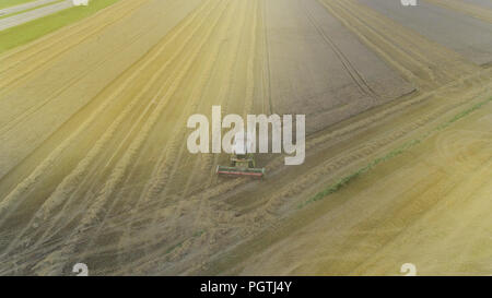 Il lavoro agricolo mietitrebbia rimuove il grano o frumento Foto Stock