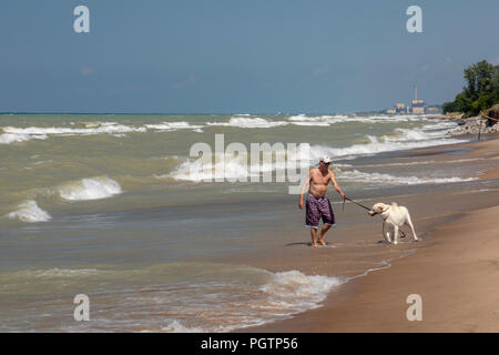 Beverly rive, Indiana - un uomo gioca con il suo cane sulla spiaggia di Indiana Dunes National Lakeshore, all'estremità meridionale del lago Michigan. Foto Stock