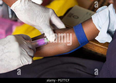 Un lavoratore di salute di assunzione di un campione di sangue dalla vena cubital forando la vena e la raccolta di sangue in una provetta di test sotto pressione negativa Foto Stock