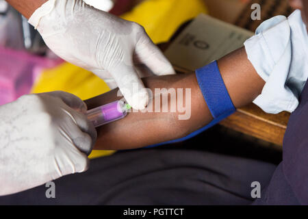 Un lavoratore di salute di assunzione di un campione di sangue dalla vena cubital forando la vena e la raccolta di sangue in una provetta di test sotto pressione negativa Foto Stock