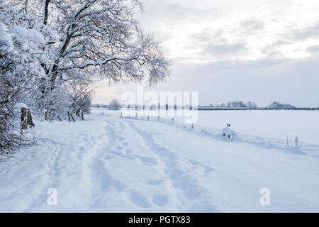 paesaggio rurale neve invernale nel lincolnshire regno unito Foto Stock