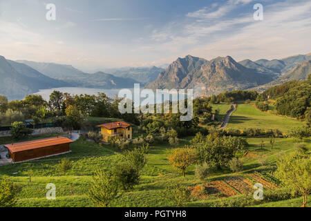 Casa rurale con alberi da frutta e vigneti e campi sull'isola nel mezzo del lago d'Iseo e i monti all'orizzonte. Italia Foto Stock