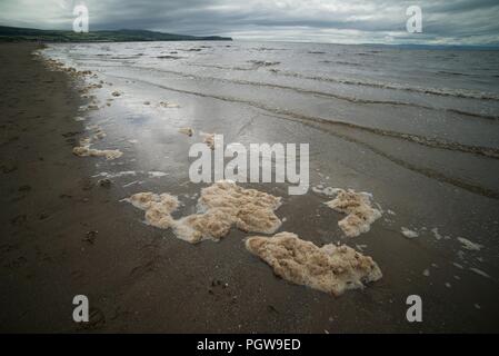 Schiuma di mare in acqua in una spiaggia di sabbia nel Regno Unito, schiuma di mare è anche noto come schiuma di mare, spiaggia schiuma o spume. Foto Stock