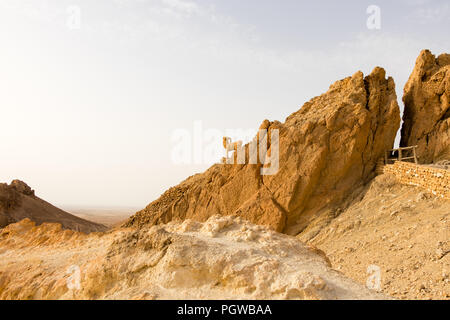 Capre di montagna in Atlas oasi di montagna Chebika, Tunisia, Africa Foto Stock