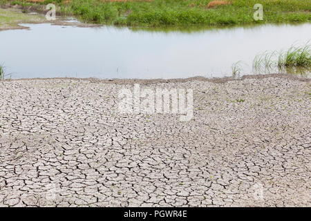 Quasi un torrente asciutto letto (aka dry arroyo, Dry Creek, lavaggio a secco, secco gulch) - San Joaquin River National Wildlife Refuge, California USA Foto Stock