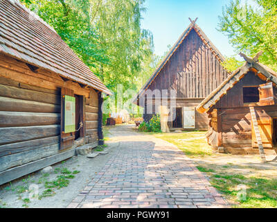 Cottages in open-air museum (Spreewaldmuseum) in Lehde, Spreewald, Germania Foto Stock