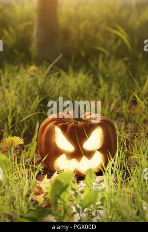 3D rendering della creepy alleggerire jack o' lantern posa su erba verde di sera la luce solare Foto Stock