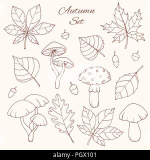 Disegnata a mano vector autunno insieme con la quercia, il pioppo, faggio, Aspen e ippocastano foglie, ghiande e funghi line art isolato sul retro bianco Illustrazione Vettoriale