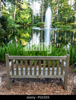 Un banco si trova di fronte ad un lago nel giardino botanico in Norfolk Virginia Foto Stock