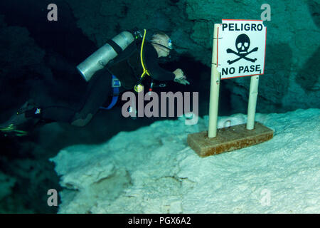 Subacqueo in Cenote Tajma Ha, Playa del Carmen, Quintana Roo, Messico Foto Stock