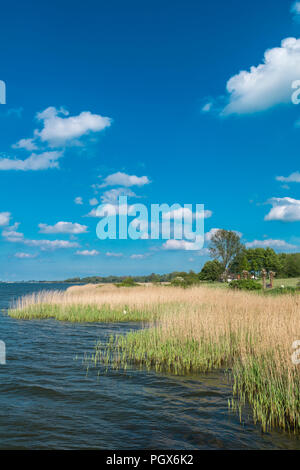 River Schlei, paesaggio Schwansen, Sieseby, Thumby, Schleswig Holstein, Germania Foto Stock