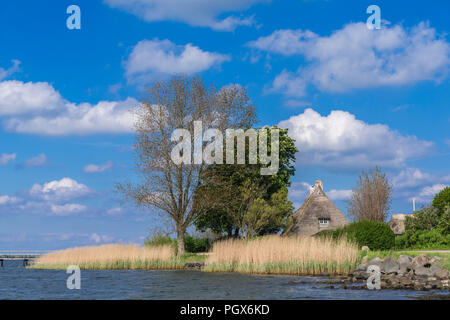 River Schlei, paesaggio Schwansen, Sieseby, Thumby, Schleswig Holstein, Germania Foto Stock