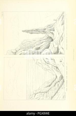 Immagine dalla pagina 101 di 'St. Helena un fisico, storico e topografico descrizione dell'isola ... Le tavole botaniche da disegni originali dalla sig.ra J. C. Melliss' . Foto Stock