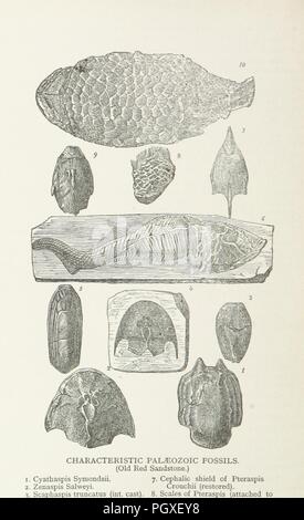 Immagine dalla pagina 202 di "Lecture Notes sulla geografia fisica e geologia, etc' . Foto Stock