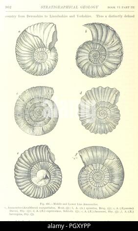 Immagine dalla pagina 926 del " Libro di testo di geologia ... Terza edizione riveduta e ampliata" . Foto Stock