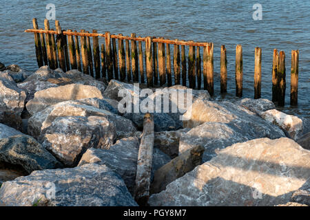 120 anni di pennelli in legno Foto Stock