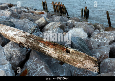 120 anni di pennelli in legno Foto Stock