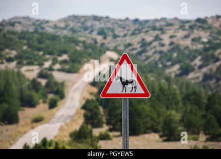 Wild Horse segno di avvertimento Foto Stock