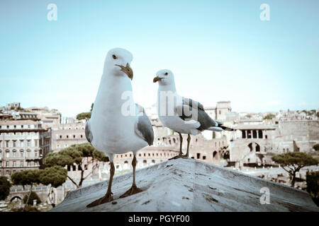 Roma città il turismo Foto Stock