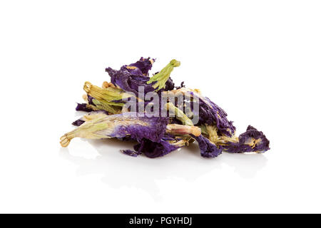 Clitoria fiore fiori secchi isolati su sfondo bianco. Foto Stock