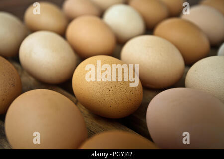 Uova Foto Stock