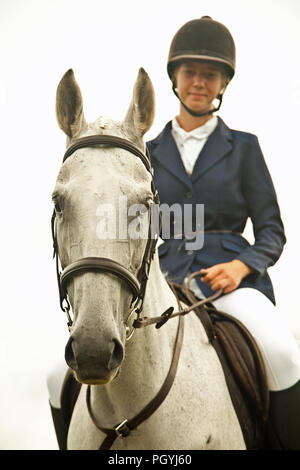 Grigio mare e pilota Foto Stock