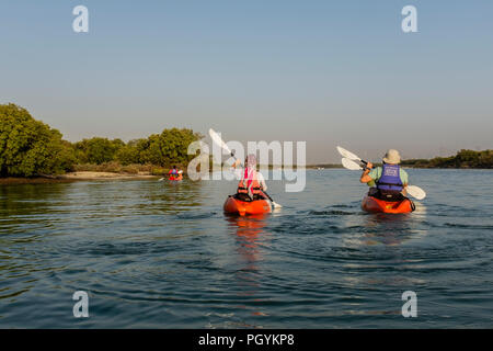 Fare kayak in Mangrove National Park, Abu Dhabi, negli Emirati Arabi Uniti. La naturale foreste di mangrovie sono un famoso parco giochi per attività all'aperto. Foto Stock