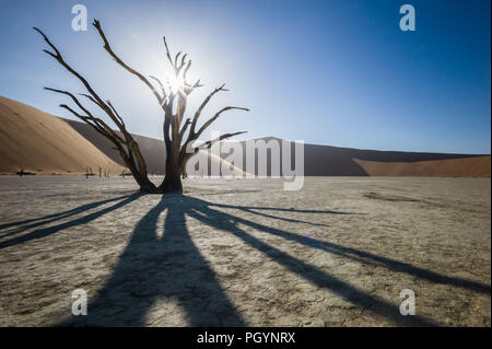 Gli alberi morti in guardia per difendere Deadvlei in Namib-Naukluft National Park, Namibia; la vaschetta una volta aveva acqua dal fiume Tsauchab, ma un cambiamento ambientale Foto Stock