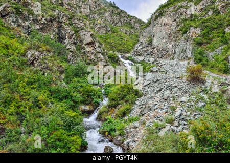 Mountain Creek che scorre sotto le scogliere di canyon tra massi in Altai mountains, Russia - bella estate paesaggio. La bellezza della natura selvaggia Foto Stock